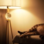 Adorable Puppy Wall Lamp: Perfect for Children’s Room